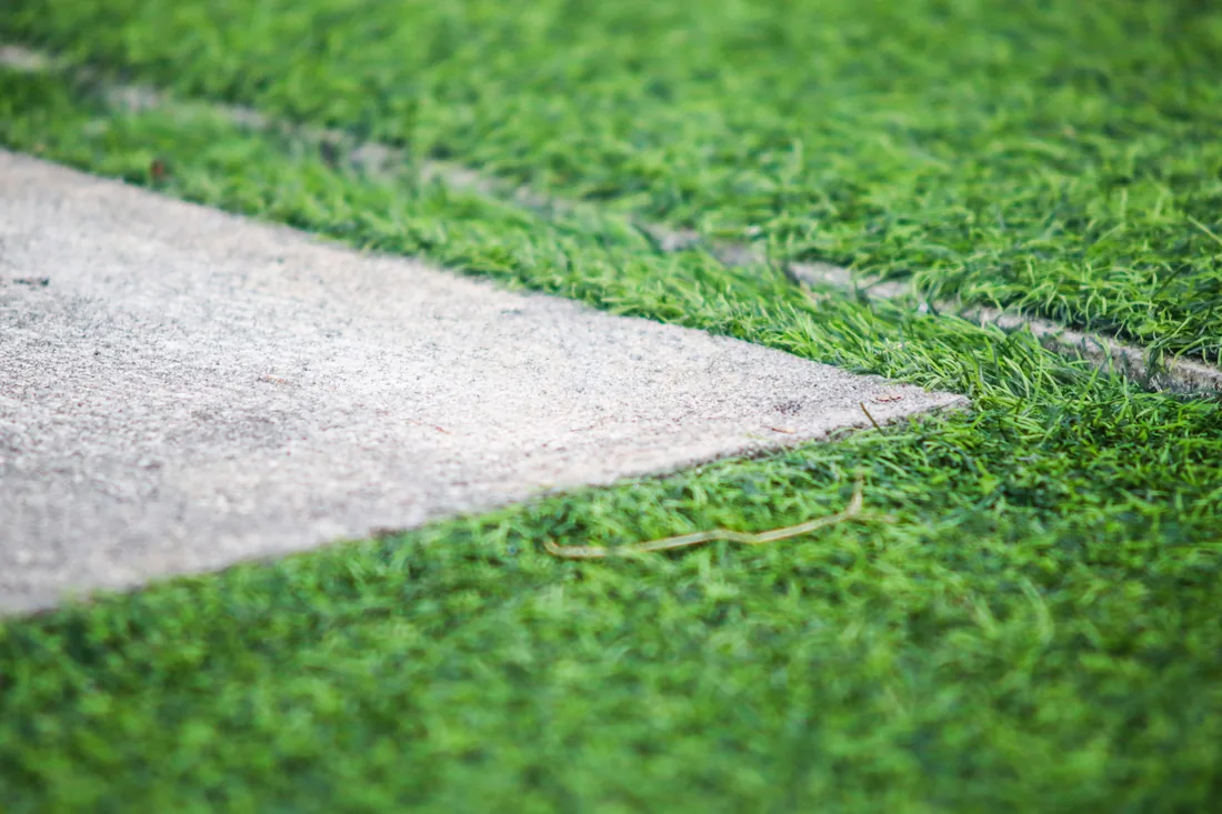 Edge detail where artificial turf meets a concrete surface