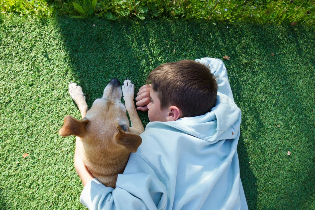 A dog resting on artificial turf in a backyard
